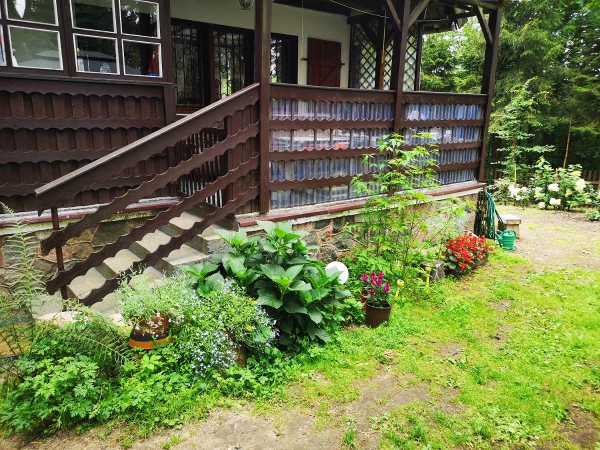 Dom Stare Czaple Villa Exterior photo